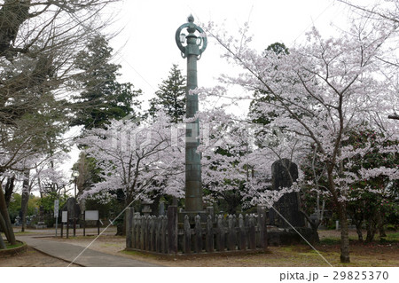 相輪橖　西蓮寺 29825370