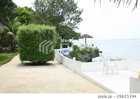 Green plants on the street 29825394