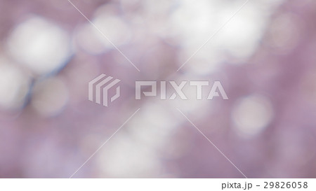 ボケ素材(桜 ピンク色) ボケ素材(桜 ピンク色) 29826058