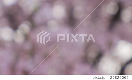 ボケ素材(桜 ピンク色) ボケ素材(桜 ピンク色) 29826062