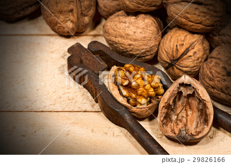 Walnuts with Old Nutcracker 29826166