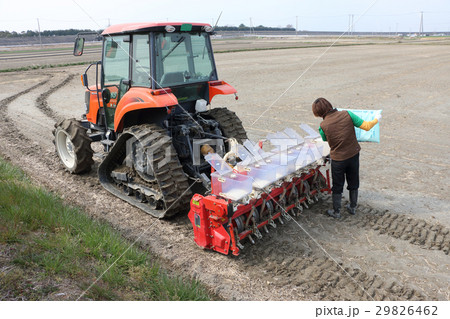 水稲の乾田直播作業 肥料投入 29826462