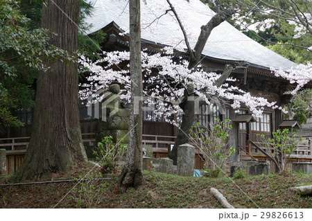 西蓮寺 29826613
