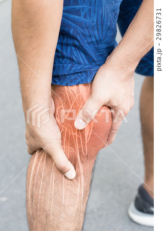 Knee muscle pain Knee muscle pain 29826731