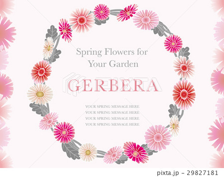 花のフレーム ガーベラ 1のイラスト素材