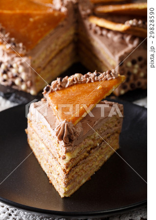 Slice of Hungarian Dobos cake closeup. vertical Slice of Hungarian Dobos cake closeup. vertical 29828590