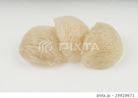 Fresh edible bird's nest on white paper 29828671