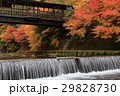 温泉　黒川温泉　秋 29828730