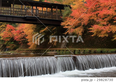 温泉　黒川温泉　秋 29828730