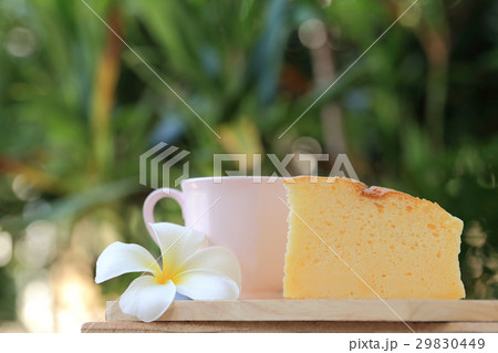 Japanese style Cheesecake and coffee cup in garden Japanese style Cheesecake and coffee cup in garden 29830449