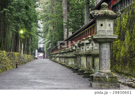 東照宮から二荒山神社への参道と石灯篭の写真素材