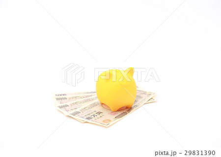 saving on piggy bank 29831390