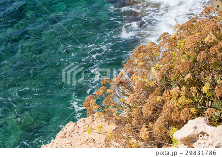 Stone cliff in a beautiful blue sea Cyprus Stone cliff in a beautiful blue sea Cyprus 29831786