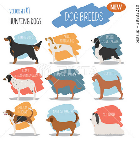 Hunting dog breeds set icon isolated on white  29832210