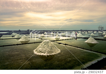 台湾 塩田 自然 29832437