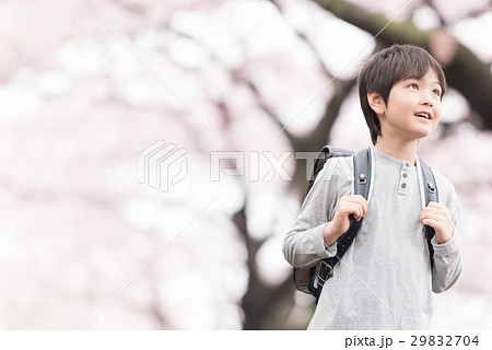 桜 小学生 入学式 私服の写真素材