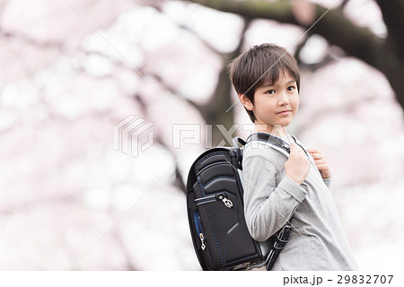 桜 小学生 入学式 私服の写真素材