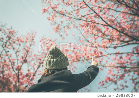桜と女性 29833007