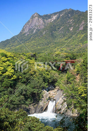屋久島の珍しい滝　トローキの滝とモッチョム岳 29833273
