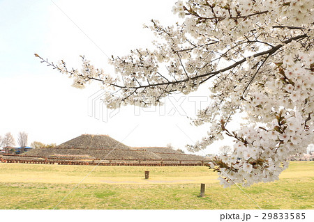 上毛野はにわの里公園 上毛野はにわの里公園 29833585