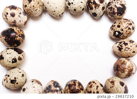 square frame of quail eggs on a white background. 29837210