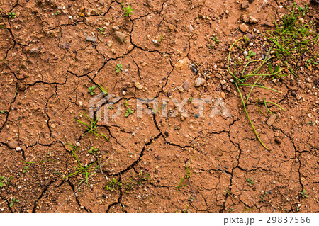 land with dry and cracked ground land with dry and cracked ground 29837566