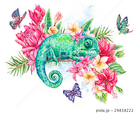 Watercolor Green Chameleon With Butterfliesのイラスト素材 2922