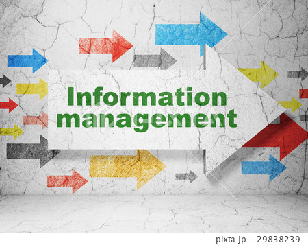Data concept: arrow with Information Management on 29838239