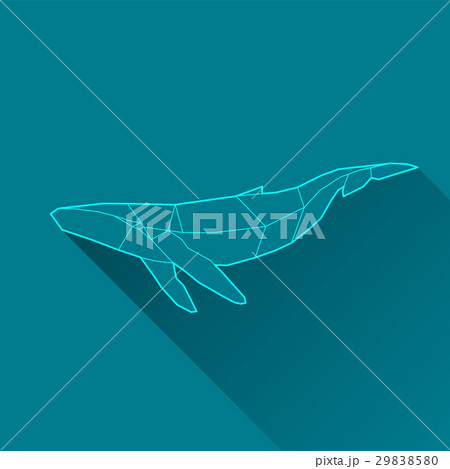 whale wireframe whale wireframe 29838580