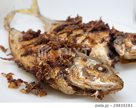 (Close up) Mackerel fish fry in a plate. (Close up) Mackerel fish fry in a plate. 29839283