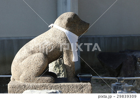 奈良県北葛城郡王寺町達磨寺の境内にある聖徳太子の愛犬「雪丸」の像 奈良県北葛城郡王寺町達磨寺の境内にある聖徳太子の愛犬「雪丸」の像 29839309