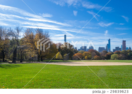 Great lawn located in the heart of Central Park  29839623