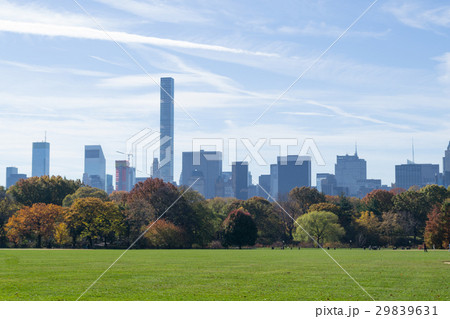 Great lawn located in the heart of Central Park  29839631