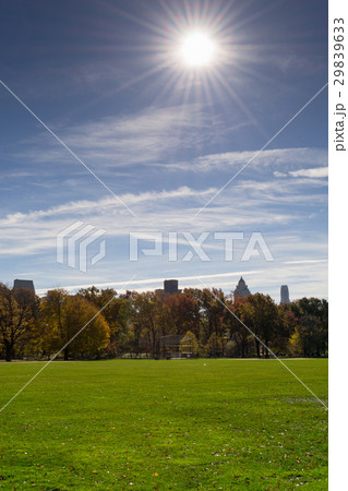 Great lawn located in the heart of Central Park  29839633