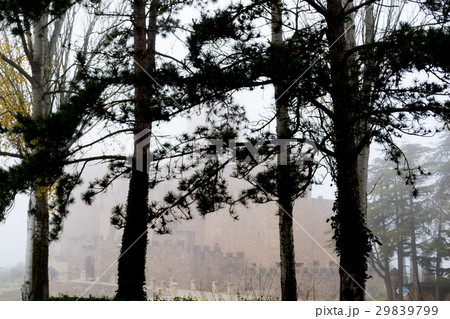 Castle of Xavier on a foggy day (Spain) 29839799