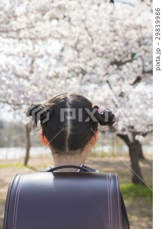 桜を見つめる新1年生 29839986