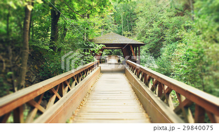 wooden bridge landscape 29840075