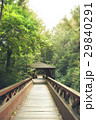 wooden bridge 29840291