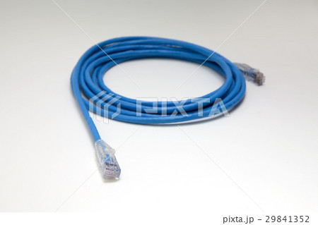RJ45 Cat.6 Plug Ethernet Cable 29841352