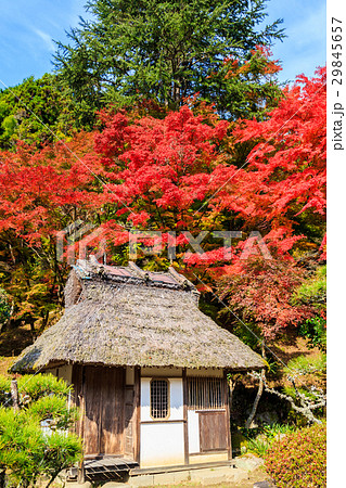 香嵐渓の紅葉 29845657