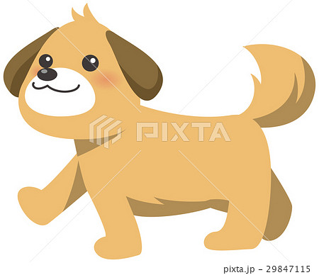 歩くかわいい茶色い犬のイメージイラストのイラスト素材 29847115 Pixta