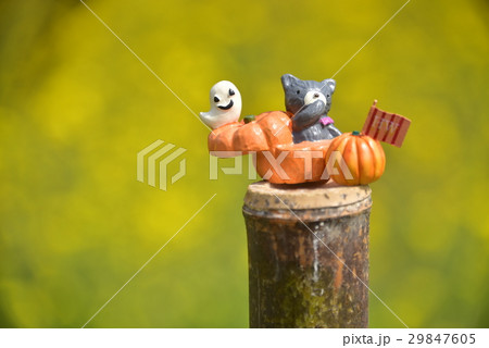 春のハロウィン 29847605
