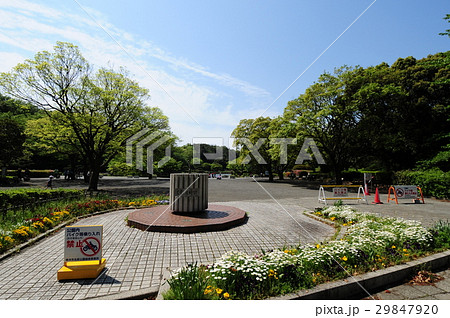 新緑の公園 横浜市こども自然公園 新緑の公園 横浜市こども自然公園 29847920