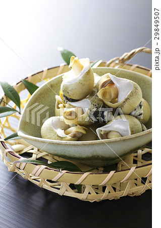 バイ貝の塩茹で8 29849507