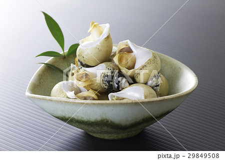 バイ貝の塩茹で9 29849508