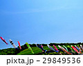千財農園こいのぼり  宇佐市 29849536