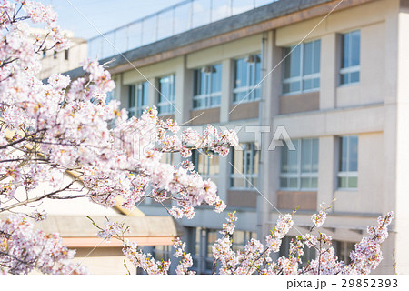 春の学校の写真素材