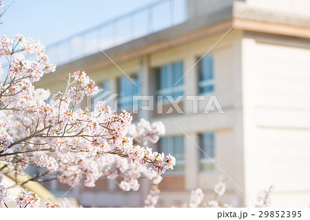 春の学校の写真素材