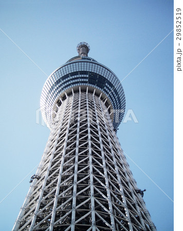 東京景観　東京スカイツリー 29852519