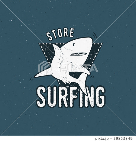 Surfing store emblem design. Shark on a triangle 29853349